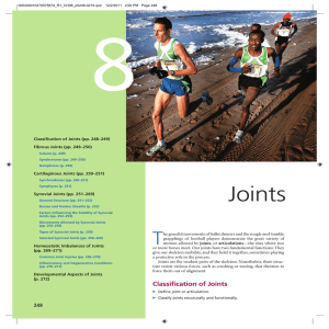 Classiﬁcation of Joints