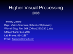 Visual System - UAB School of Optometry