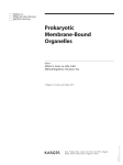 Prokaryotic Membrane-Bound Organelles