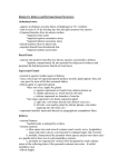 Region 16: Kidneys and Retroperitoneal Structures Abdominal aorta