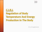 C.I.R.L Regulation of Body Temperature And Energy Production In