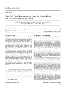 Total soft palate reconstruction using the palatal island and lateral