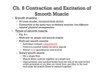 Ch. 8 Contraction and Excitation of Smooth Muscle