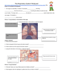 Respiratory Webquest Activity