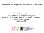 Patricia S. Steeg, Ph.D. - Metastatic Breast Cancer Network