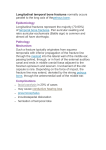 Transverse temporal bone fractures