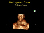 Neck spaces