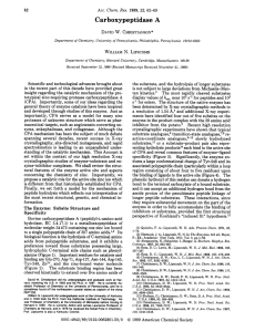 Carboxypeptidase A - Chemistry Courses: About