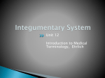 Integumentary System - Petal School District