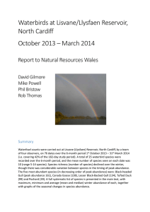 Lisvane wildfowl report 2013-14