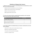 Bloodborne Pathogens Quiz Answers