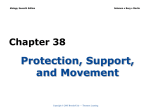 Chapter 38 Protection, Support, and Movement