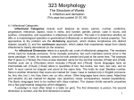 PowerPoint Presentation - 323 Morphology The Structure of Words 4