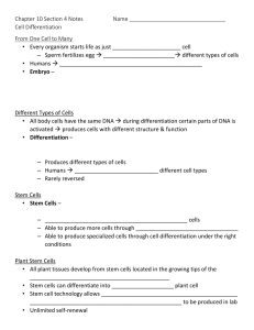 10.4 Guided Notes (Cell Differentiation and Stem Cells)