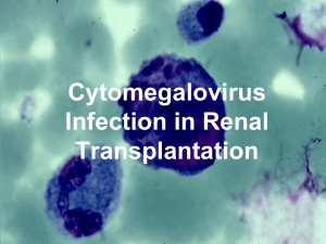 CMV infections