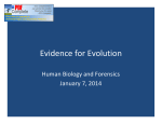 Evidence for Evolution - Fall River Public Schools