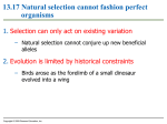 13.17 Natural selection cannot fashion perfect organisms