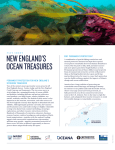 new england`s ocean treasures