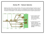 Station #1 – Insect Insanity