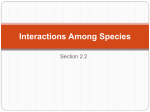 Interactions Among Species Ecological Niche