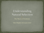 3 – Understanding Natural Selection
