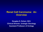 Renal Cell Carcinoma - Dr Douglas Scherr Urologic Oncologist
