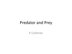 Boom and Bust, Predator and Prey, Relationships