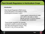 Role of Plant Growth Regulator in Horticulture Nursery