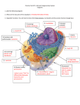 Integumentary System Practice Test