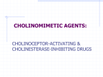 CHOLINOCEPTOR-ACTIVATING AND CHOLINESTERASE