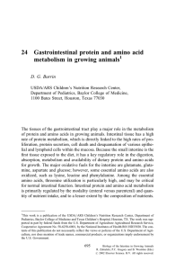 24 Gastrointestinal protein and amino acid metabolism in