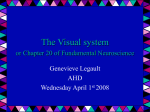 AHD Legault Visual system Apr 1