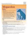 Megacolon