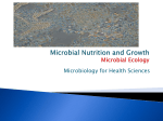 Nutrition and Growth 2 Microbial Ecology