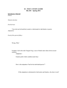 SI - TEST 1 STUDY GUIDE Bio 203 – Spring 2011 Introductory
