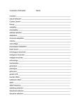 Vocabulary Worksheet