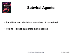 Prions - infectious protein molecules