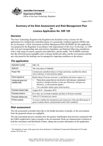 DIR 128 - Summary of the Risk Assessment and Risk Management