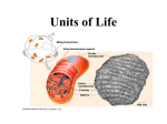 Units of Life