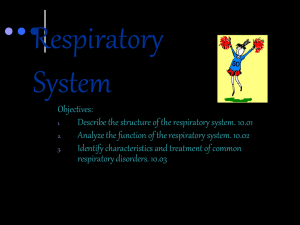 Respiratory System PPT