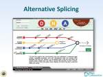 Splicing - iPlant Pods