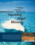 The Global, Phenomena Complex - Woods Hole Oceanographic
