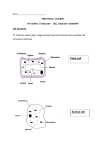 Plant cell Animal cell