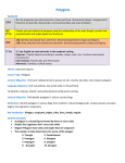 Polygons Standards: CSDE 3.1 Use properties and characteristics of