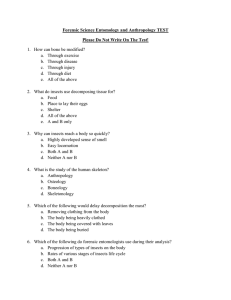 Honors Forensic Science Unit 11 TEST