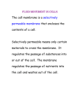 Fluid Movement in Cells - St. John Paul II Collegiate