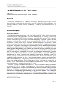 Local Field Potential in the Visual System