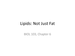 BIOL 103 Ch 6 Lipids for Students Fall15