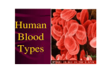 blood types pp