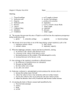 Chapter 15 Practice Test 2012